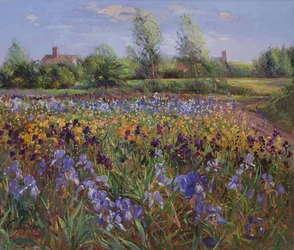 Irises and Burgate Green